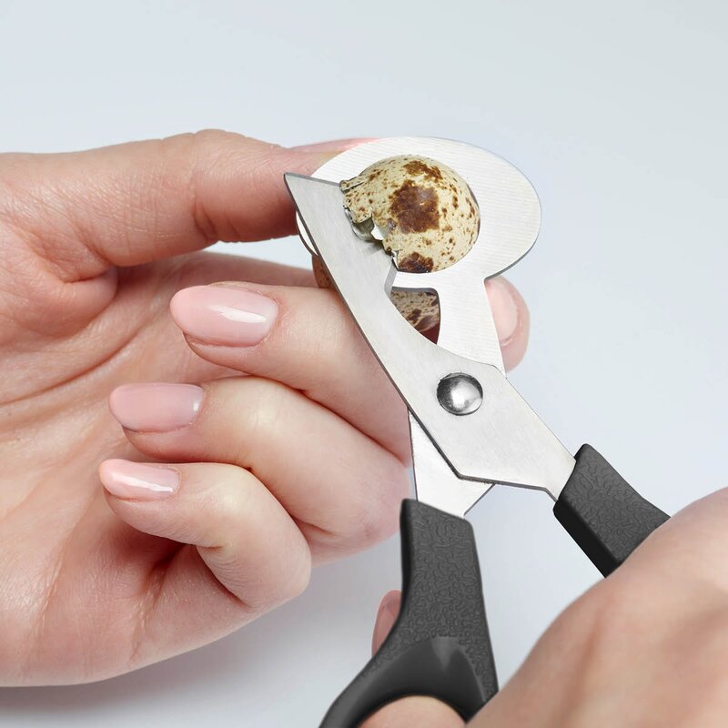 Westmark Vakteläggssax