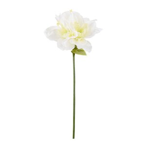 Mr Plant Amaryllis 63 cm vit