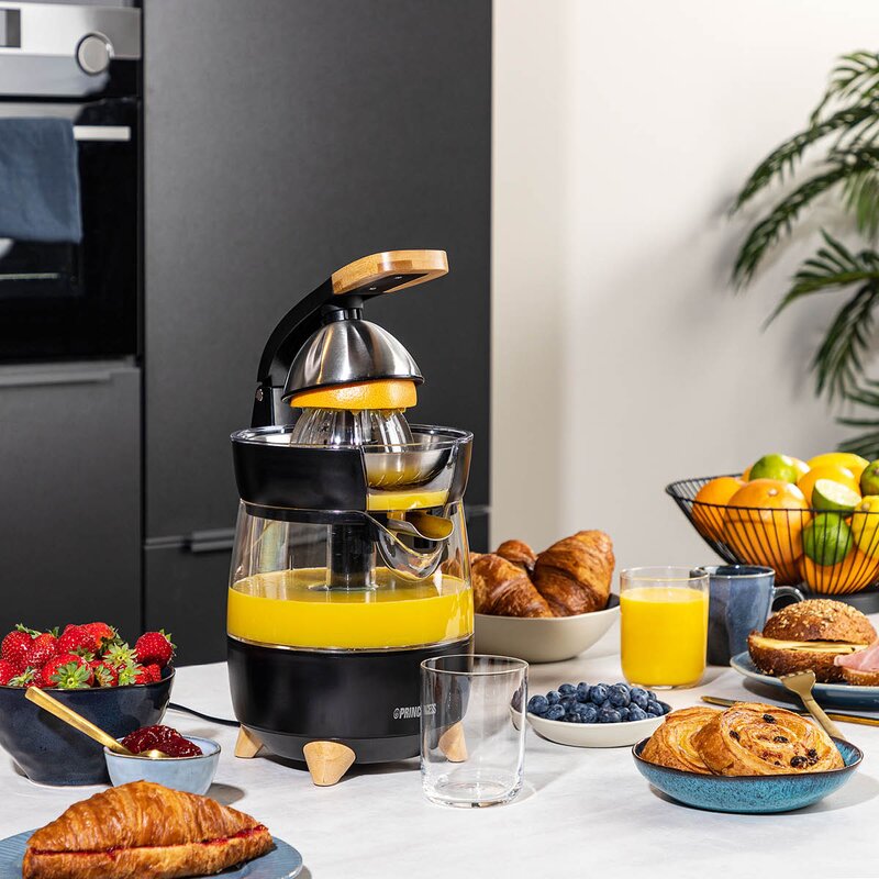 PRINCESS Juicepress 300W bambu