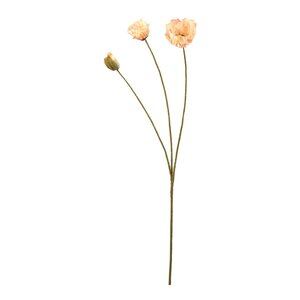 Mr Plant Vallmo 75 cm persika
