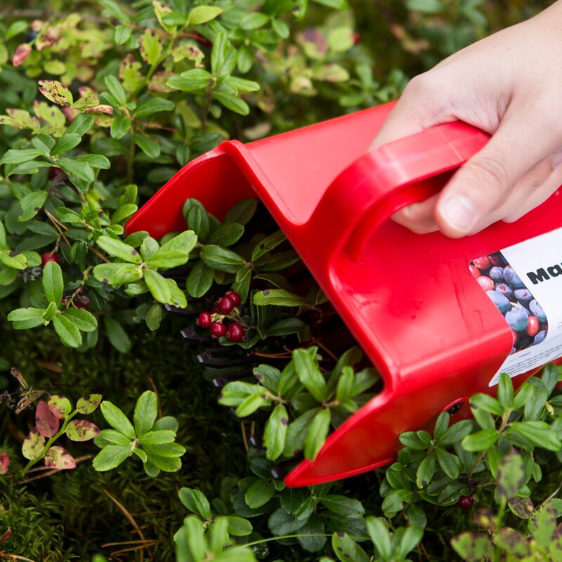 Marjukka Bärplockare med plastpiggar 22 cm röd
