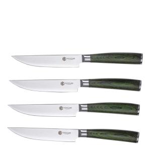 Hexclad Hybrid stekkniv set 4 delar silver/skogsgrön