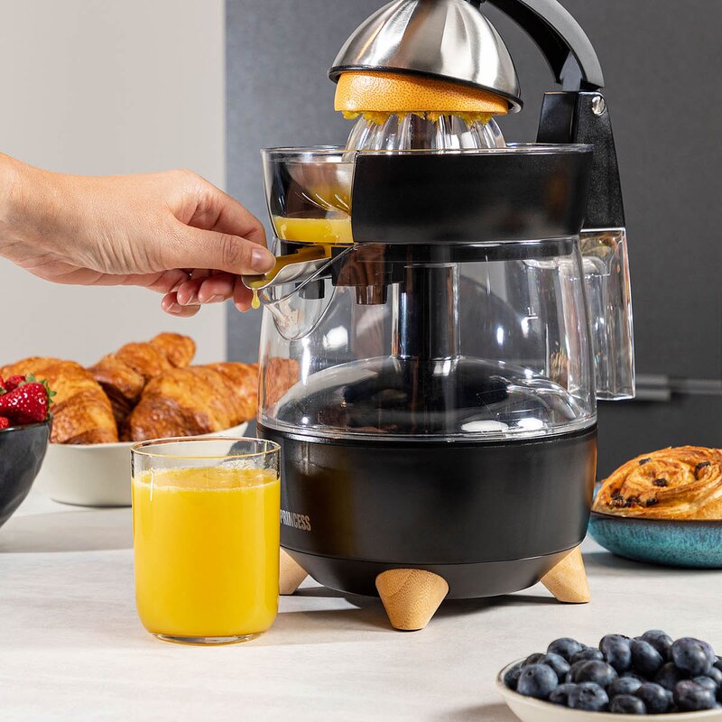 PRINCESS Juicepress 300W bambu