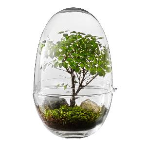 Design House Stockholm Grow Växthus Large 32 cm