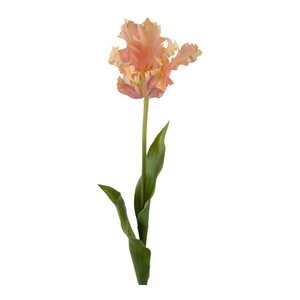 Mr Plant Tulpan 70 cm Rosa