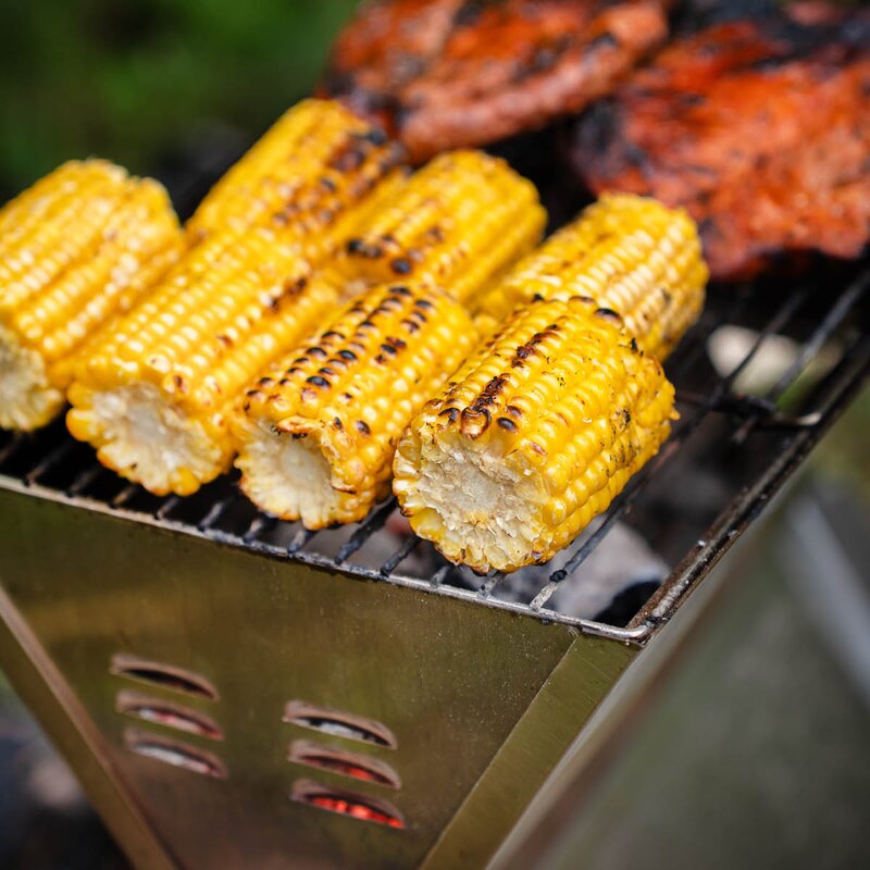 Hällmark of Sweden Vikbar grill 36x26 cm rostfri