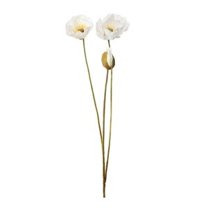 Mr Plant Vallmo 75 cm vit