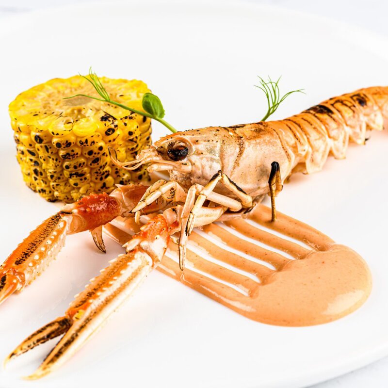 Plate It Skrapa silikon 3 delar grå