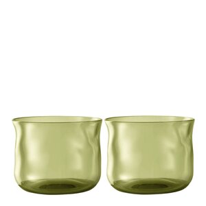 Paveau Swirl tumblerglas litet 24 cl 2-pack Moss