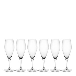 Holmegaard Perfection Champagneglas 23 cl 6-pack