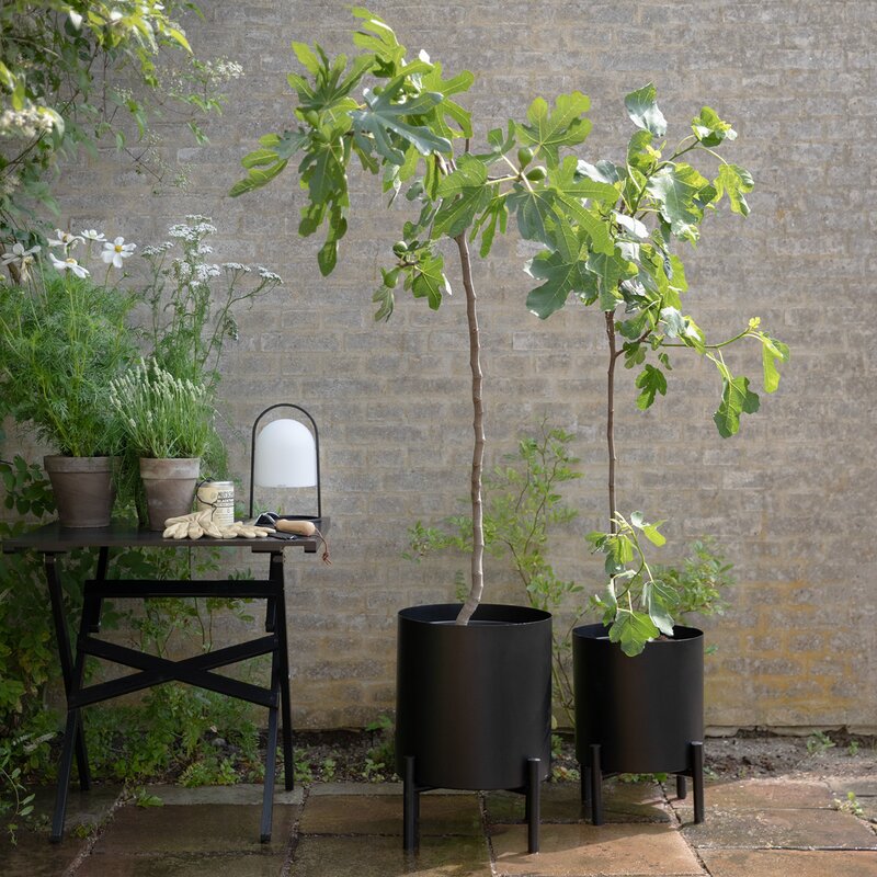 Eva Solo Simply Grow Ytterkruka stor 42x51 cm svart