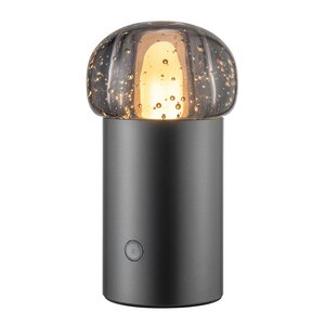 Blomus Iris LED-lampa 18 cm gun metal