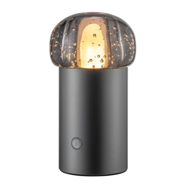 Blomus Iris LED-lampa 18 cm gun metal