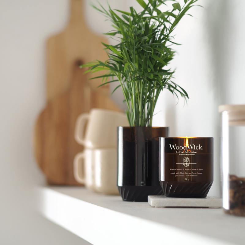 WoodWick ReNew Candela Profumata Con Stoppino Scoppiettante - 3