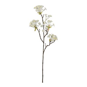 Mr Plant Lönnblomma 70 cm vit