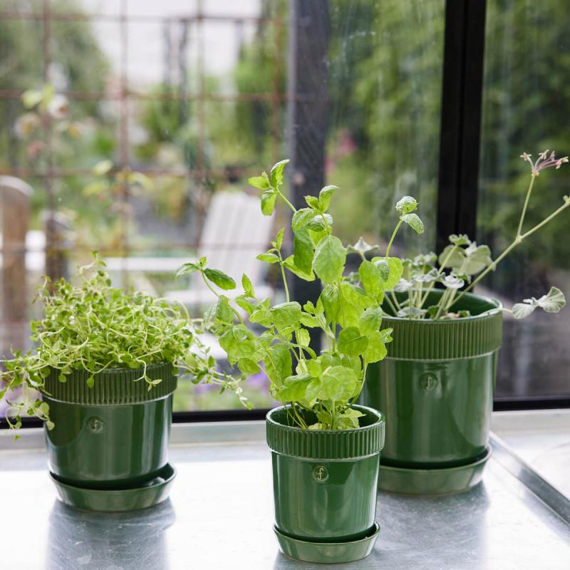 Sagaform Elise Örtkruka 11 cm Grön