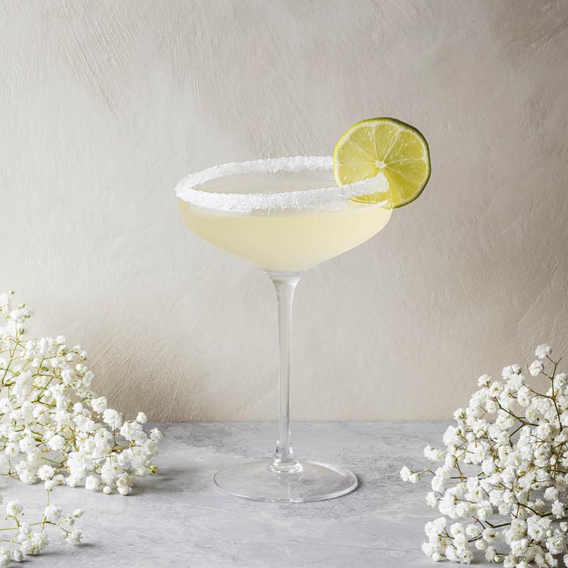 Eva Solo Champagne Coupe 20 cl