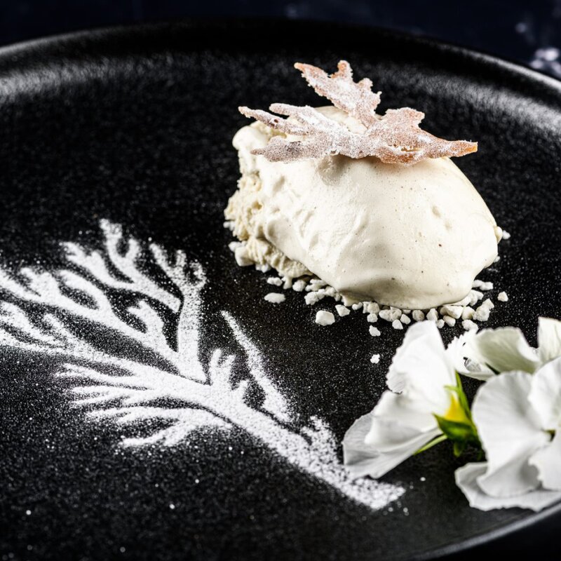 Plate It Quenellesked 2-pack