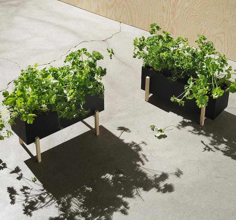 Design House Stockholm Blomsterlåda Botanic Herb Box