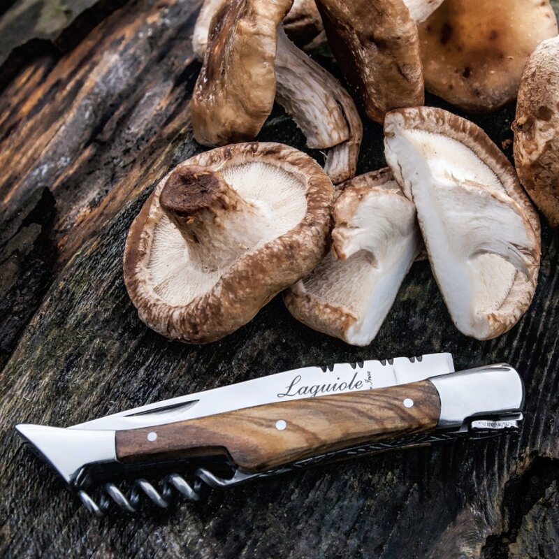 Laguiole Style de Vie Fickkniv med korkskruv Olive