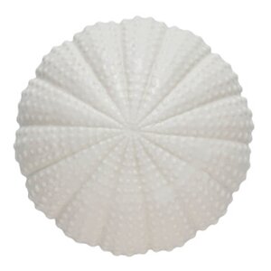 Lene Bjerre Shellille dekoration 8 cm vit