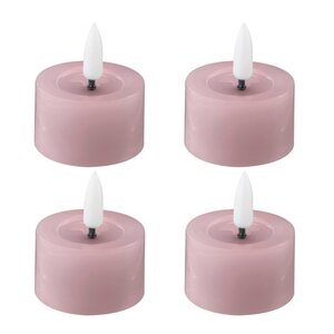 Edelweiss LED värmeljus 4-pack 4,5x2,5 cm pastel rose