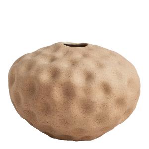 Cooee Seedpod Vas 10 cm Valnöt