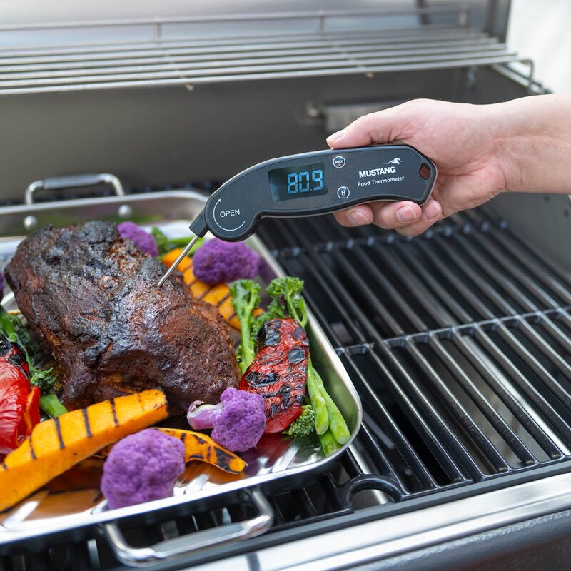 Mustang Digital termometer -40° till + 300°C