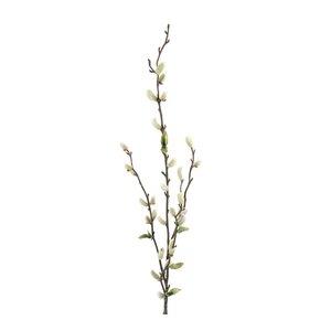 Mr Plant Videkvist 85 cm grön