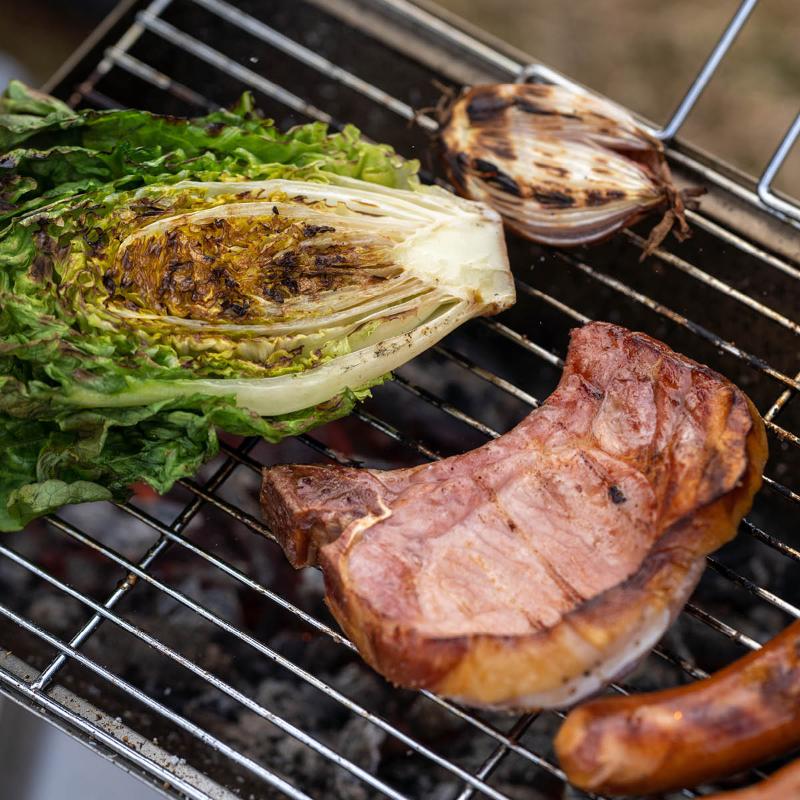 Hällmark of Sweden Vikbar grill 36x26 cm rostfri