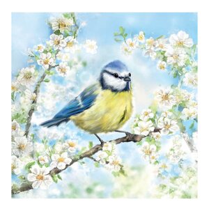 Ambiente Servett 33x33 cm 20-pack Blossom Time
