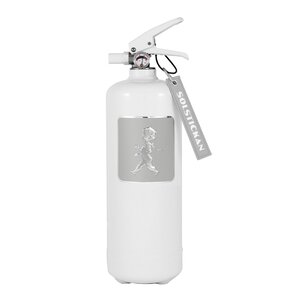 SOLSTICKAN Brandsläckare 2 kg Vit/Grå