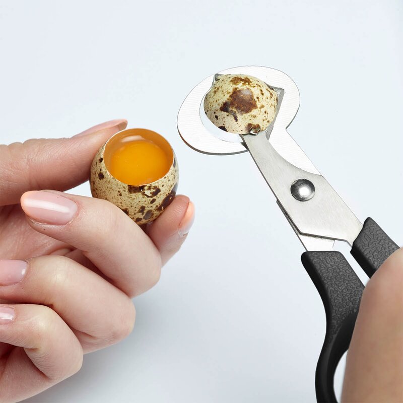 Westmark Vakteläggssax