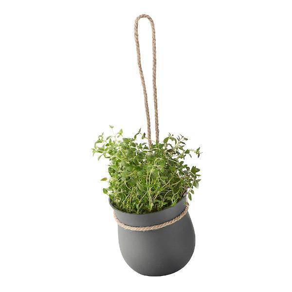 Grow-It Örtkruka Grå