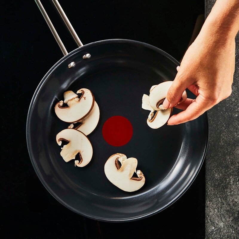 Tefal Nordica stekpanna 24 cm keramisk