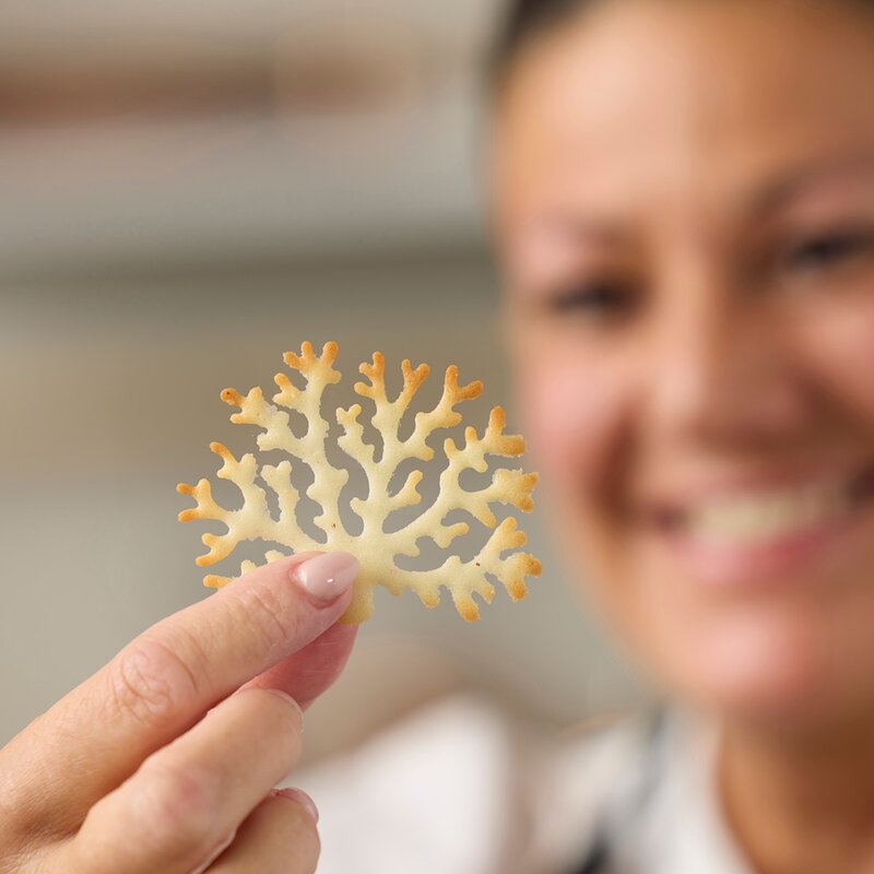 Blomsterbergs Bakform Tuile form träd för 4-pack latte