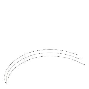 WMF Profi Plus Ostskäraretrådar 3-pack