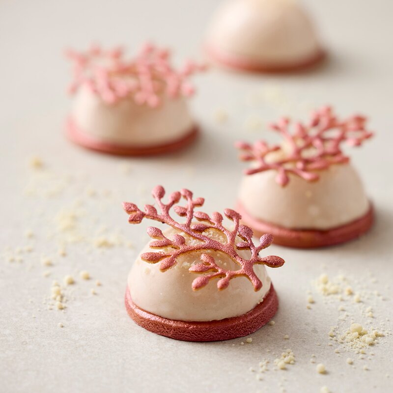 Blomsterbergs Bakform Tuile form gren för 4-pack latte