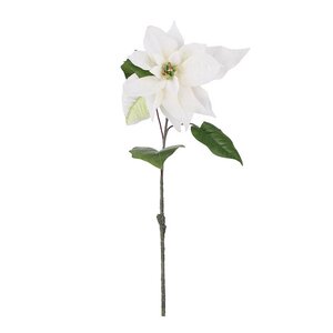 Mr Plant Julstjärna 50 cm vit