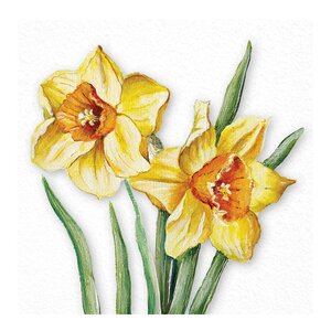 Ambiente Servett 33x33 cm 20-pack Flowering Daffodils