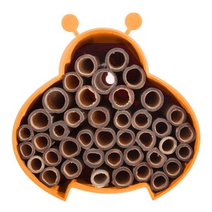 Point Virgule Bihotell 16 cm orange
