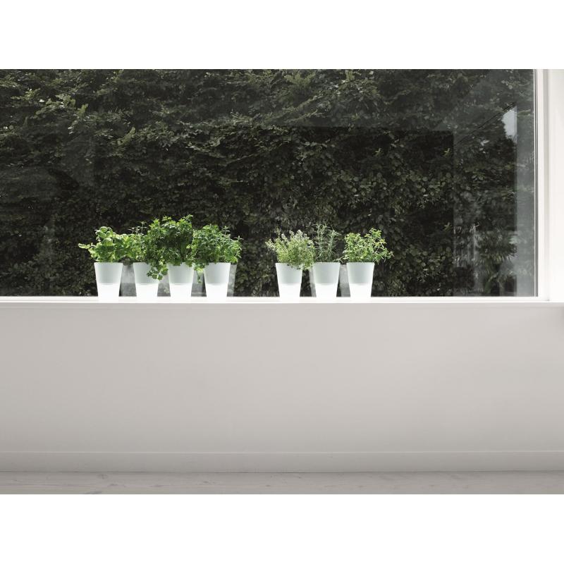 Eva Solo Självvattnande örtkruka 11 cm frostat glas