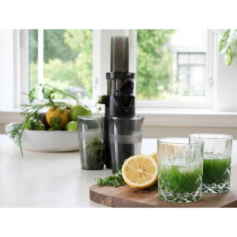Sabor Ultimate Slowjuicer 120W svart