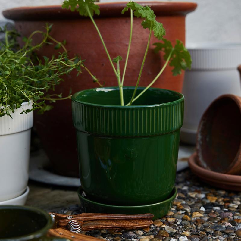 Sagaform Elise Kruka 14x15 cm Grön