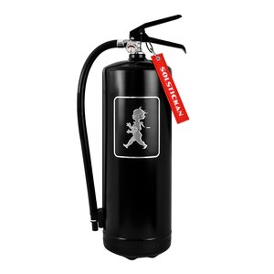 SOLSTICKAN Brandsläckare 6 kg Svart