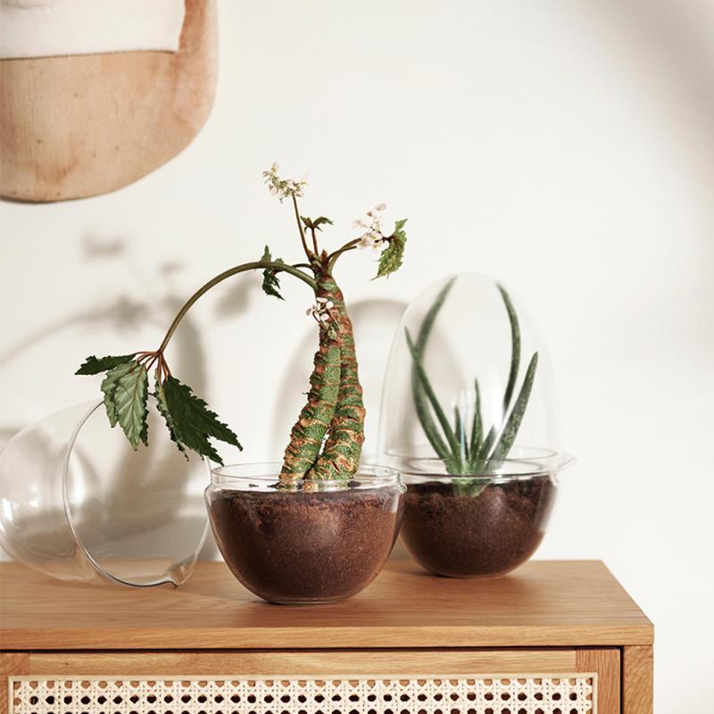 Design House Stockholm Grow Växthus Large 32 cm