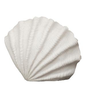 ByOn Oceana Bordslampa Snäcka 35,5x28 cm