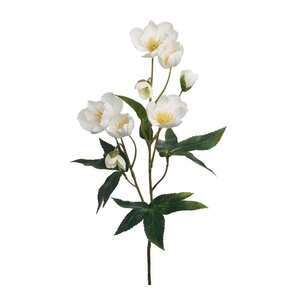 Mr Plant Julros 57 cm vit