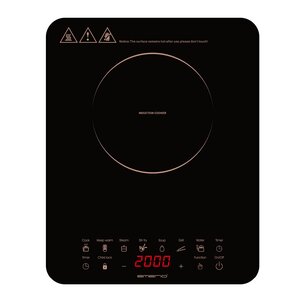 EMERIO Induktionsplatta 32x40 cm svart