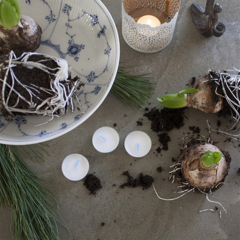 Liljeholmens Värmeljus 3,8 50-pack vit